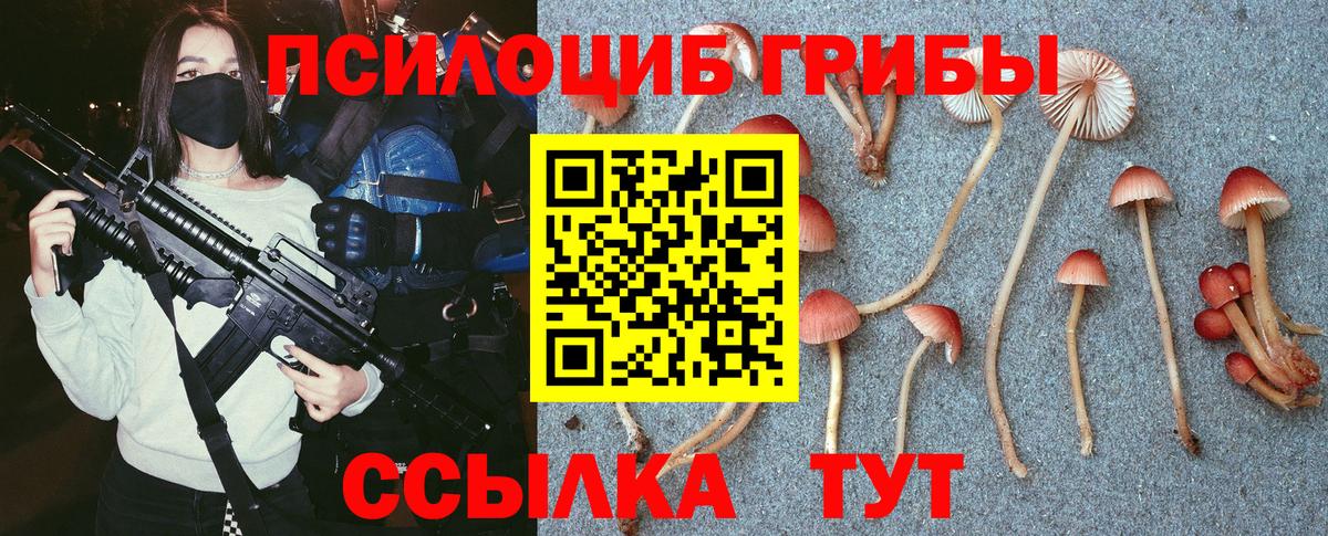 Галлюциногенные грибы ЛСД Гусиноозёрск