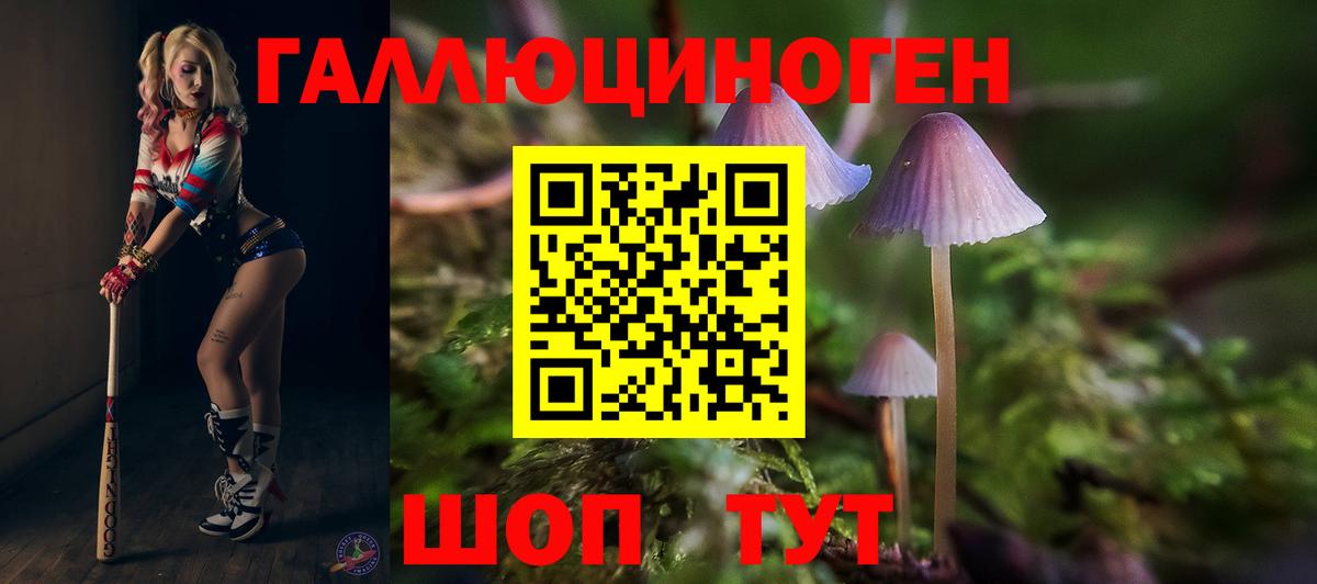 Гусиноозёрск  Галлюциногенные грибы мицелий  Вход с VPN 